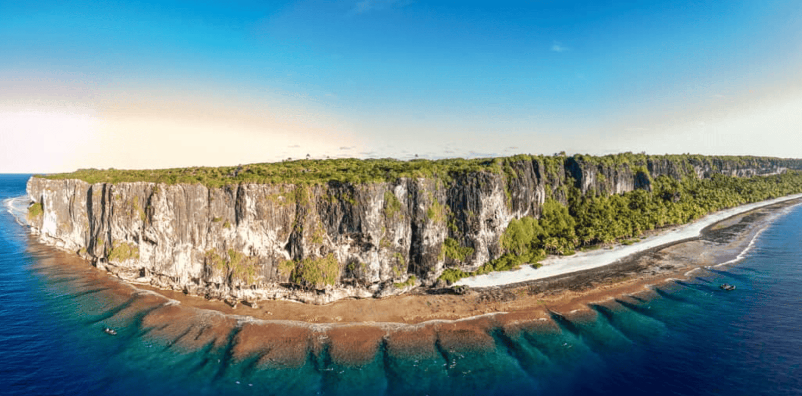 a cliff with trees on it and a beach
