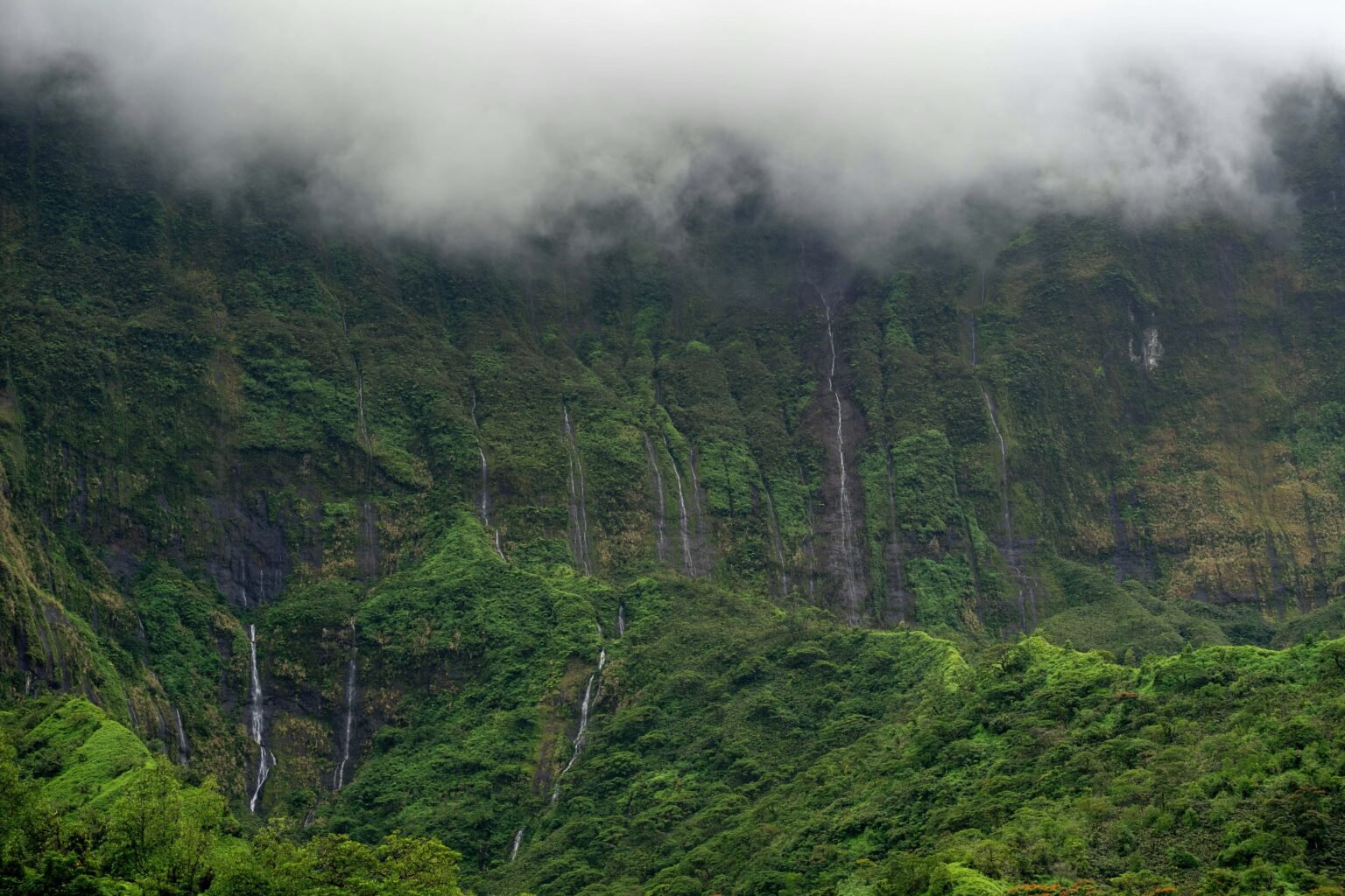 Tahiti main image 1