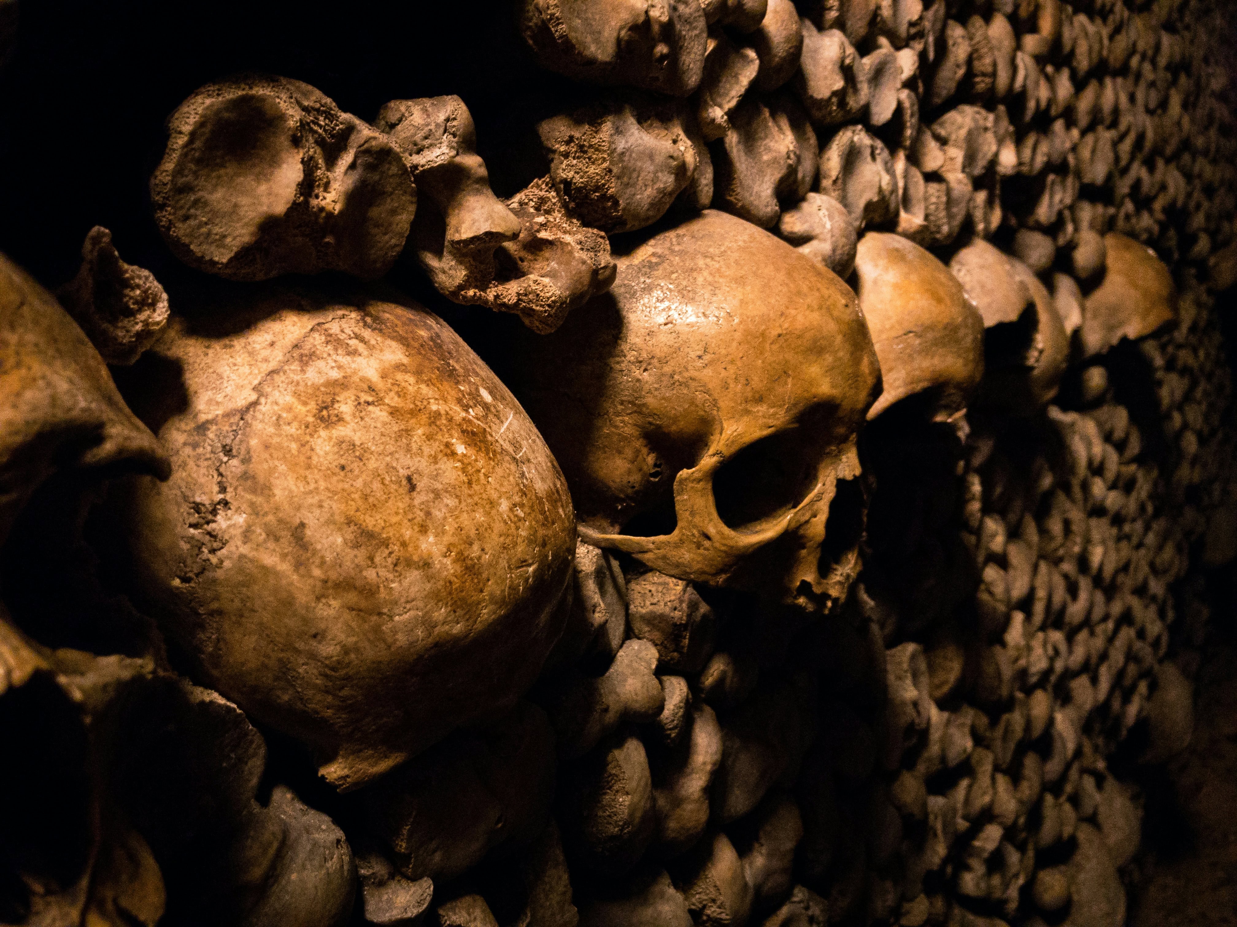 2 Days in Paris Itinerary: Top Activities With Map 13 Catacombs in Paris