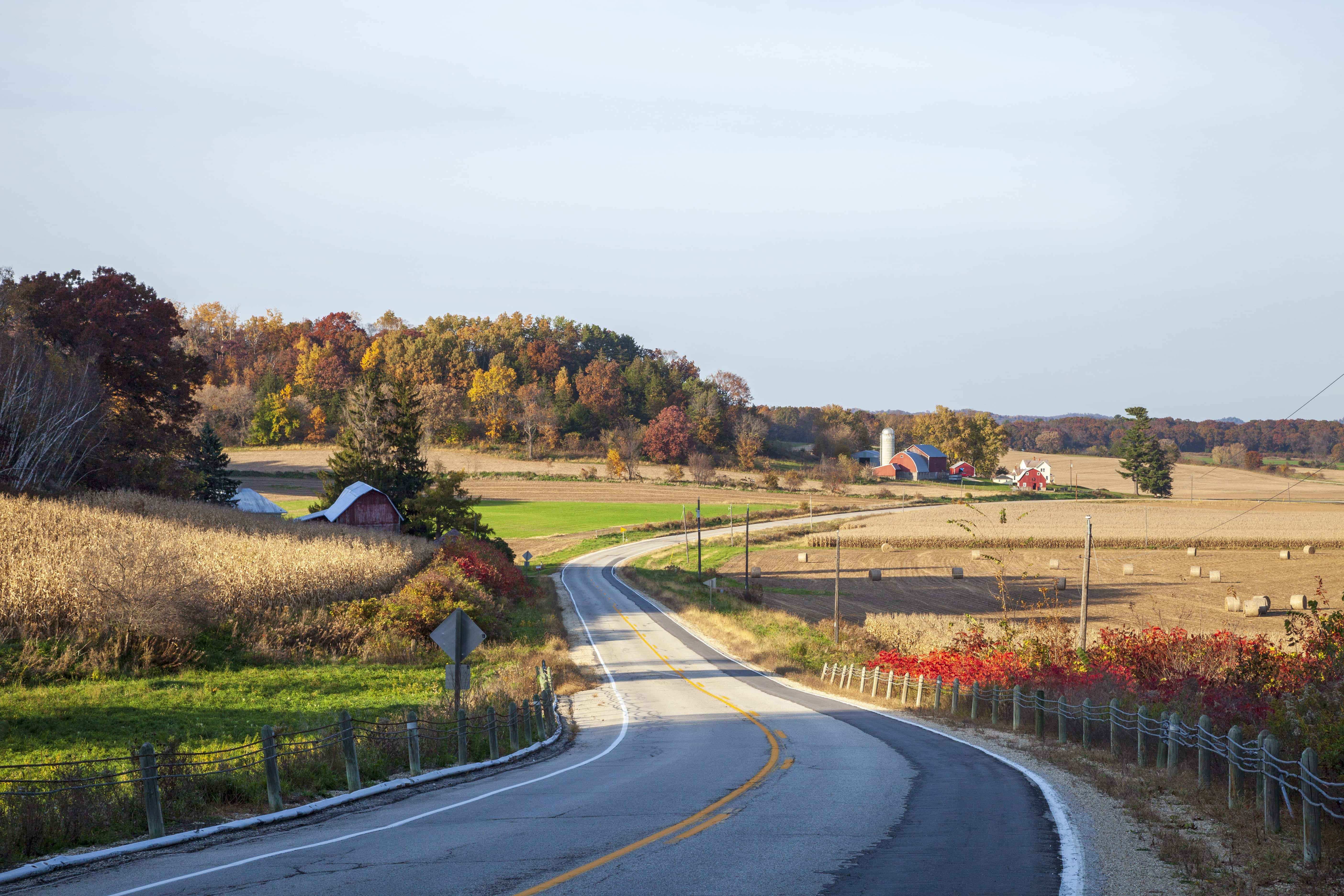 22 Best Attractions In Amish Country Ohio: An Overview for 2026! 2 Curving Amish road