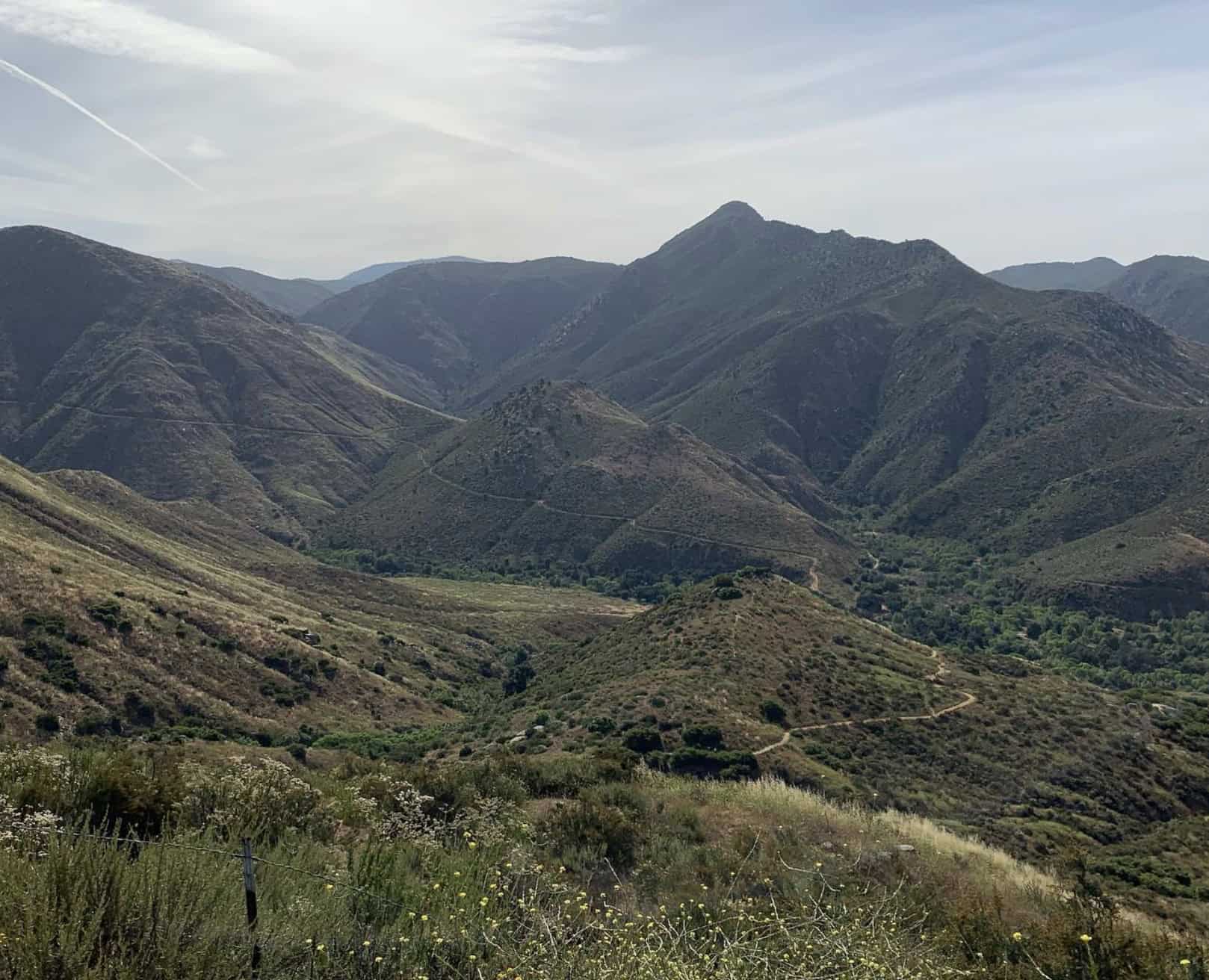 Sceneries from Cedar Falls Trail.