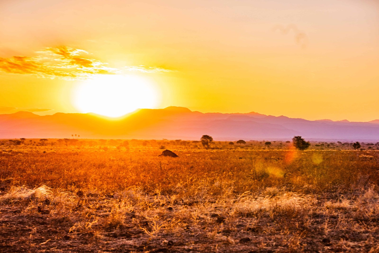 Meru National Park Kenya East Africa Landscapes Outdoors Sunset Sunrise Magical Savannah Grassland Lone Trees Wilderness In Meru County