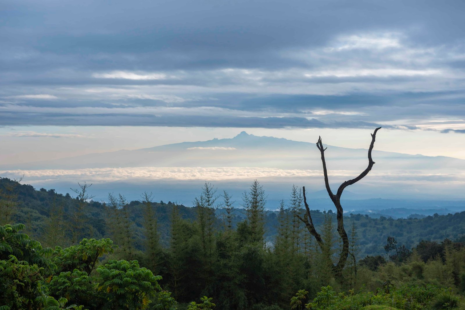 Mount Kenya 5199m summit, seen from Aberdare National Park, Kenya