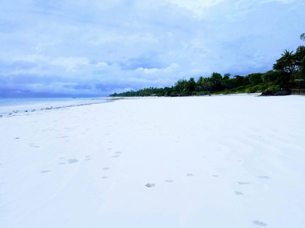 Top 18 Things to Do in Diani Beach: Expert Guide + Itinerary