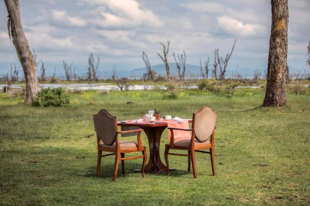 Best hotels in Naivasha Kenya: 11 picks by budget and vibe (2026 Guide)