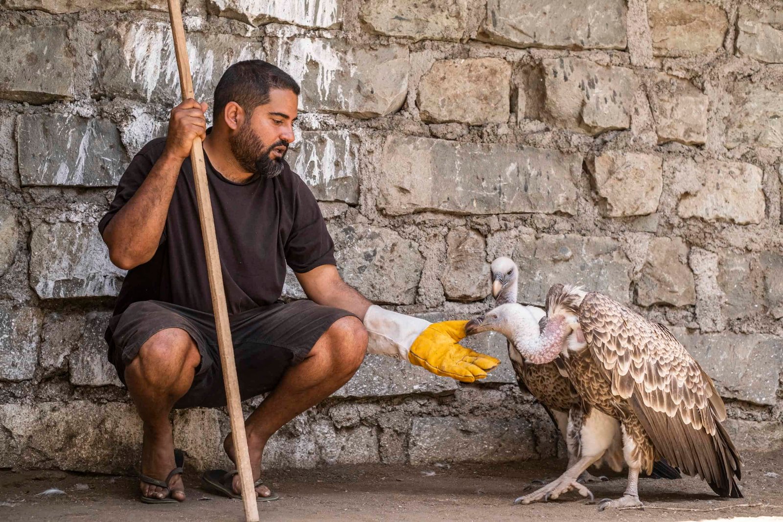Naivasha Raptor Centre
