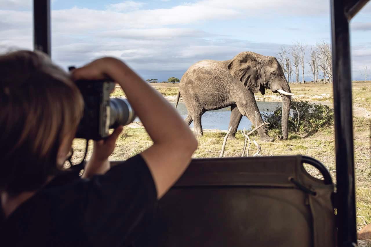 Back view of taking a picture of an elephant in Kenya Large. A camera is part of the packing list for Kenya