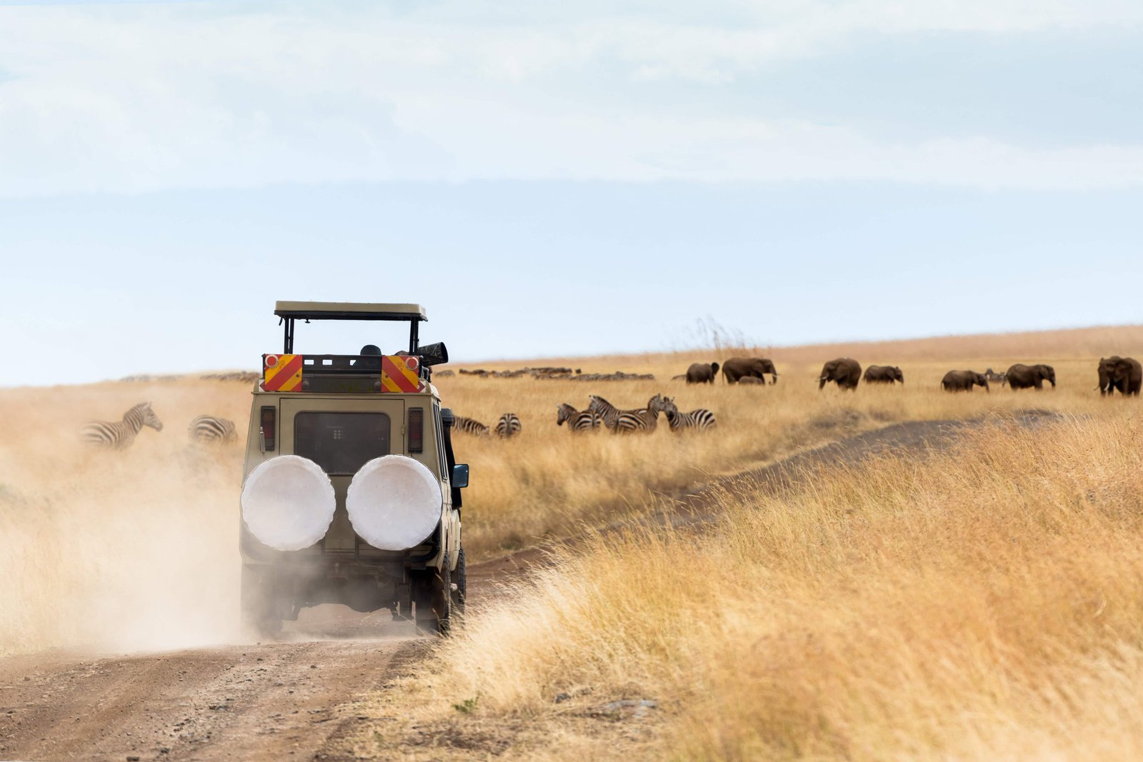 Photographer of safari game drive in vehicle with zebra and elephants in the distance