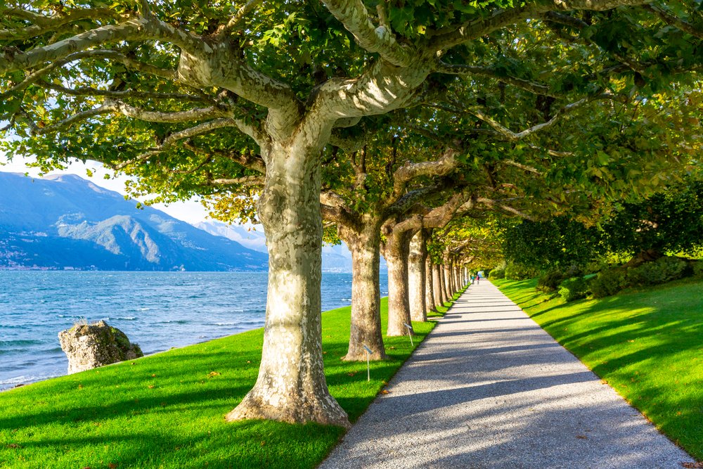 Villa Melzi gardens in the beautiful evening light, Italy